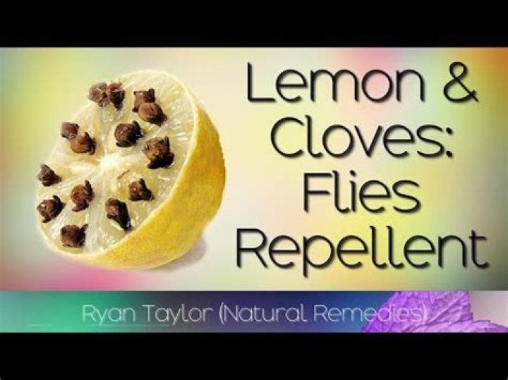 Do lemons really kill fleas