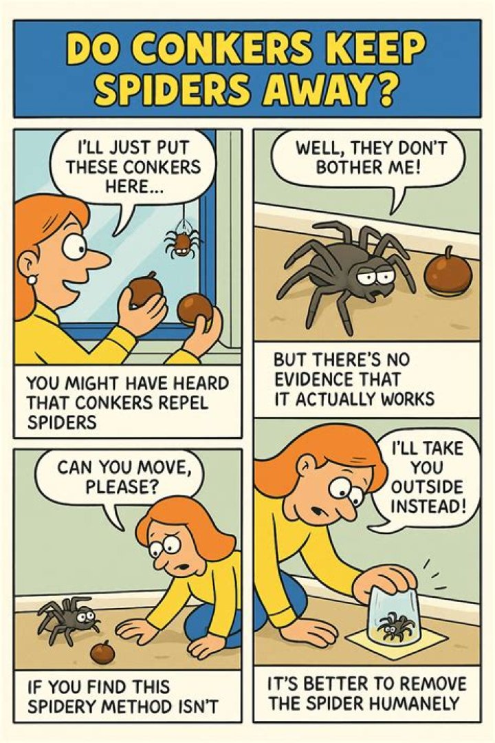 Do osage oranges keep spiders away