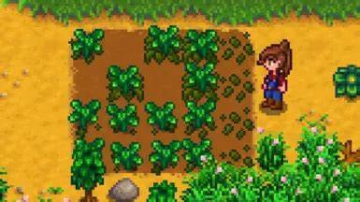 Do paths block weeds Stardew