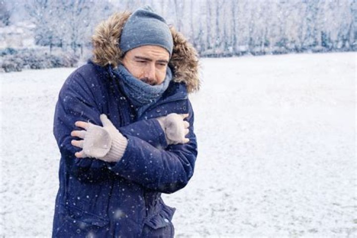 Do porcupines like the cold