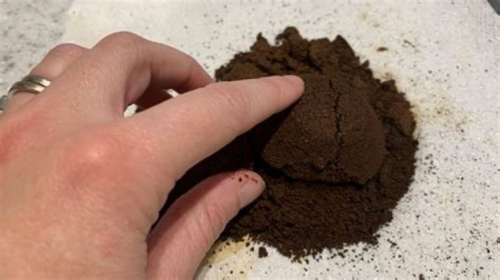 Do roses like coffee grounds