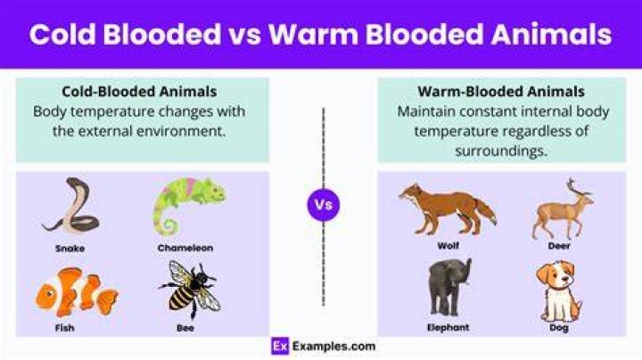 Do worms prefer warm or cold