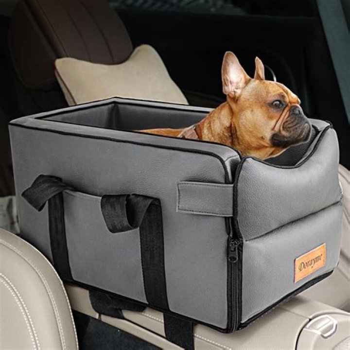 Does a dog count for carpool