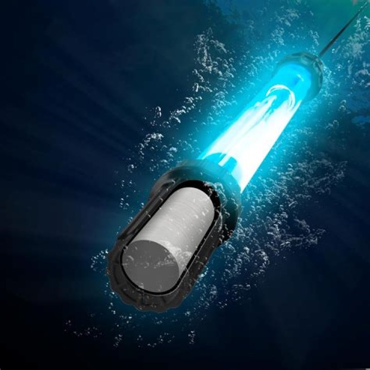 Does a pond need a UV light