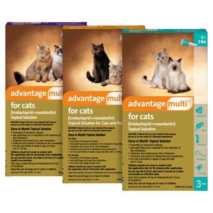Does advantage work for cats