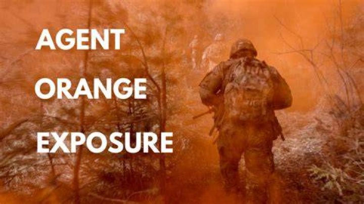 Does Agent Orange have 2 4 D