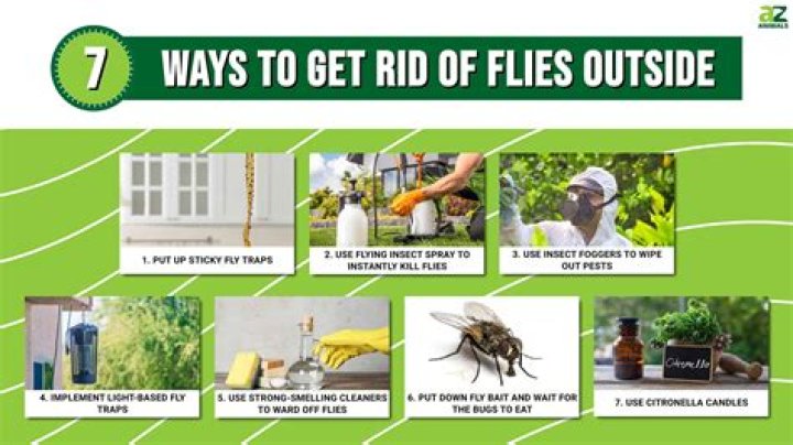 Does alcohol keep flies away