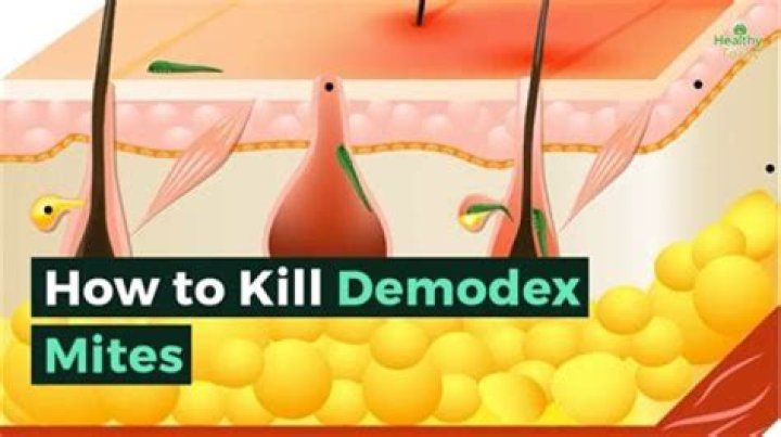 Does alcohol kill skin mites