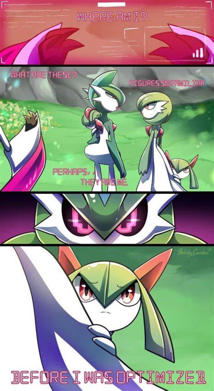 Does Ash ever meet rayquaza