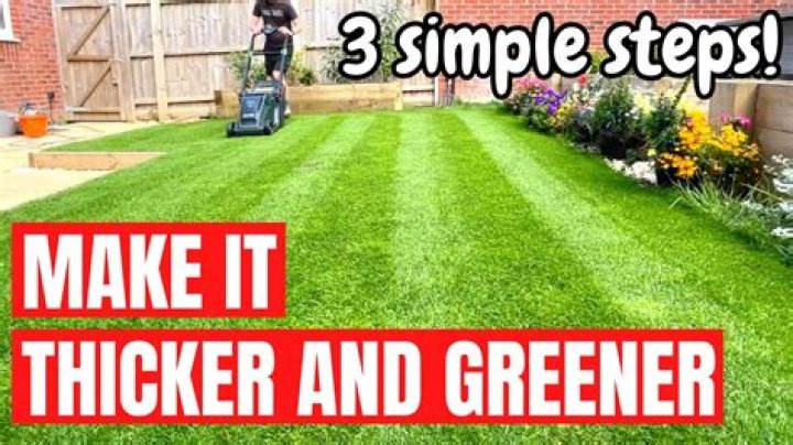 Does beer make grass greener