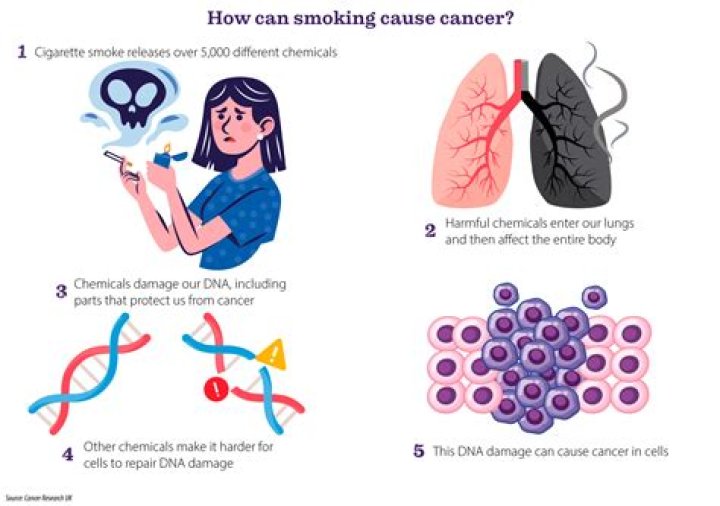 Does bifenthrin cause cancer