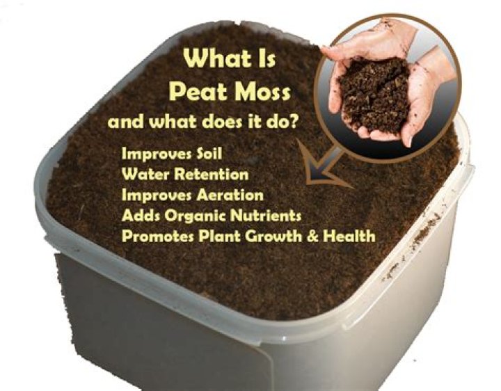 Does Bunnings sell peat moss