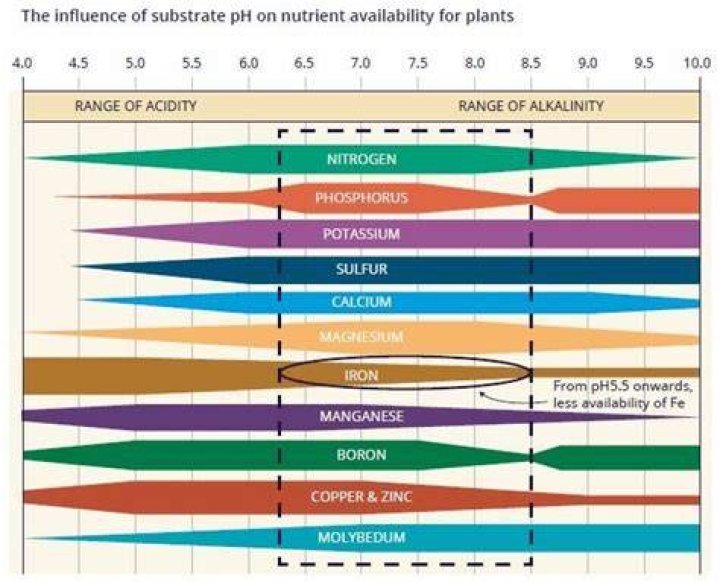 Does calcium affect soil pH