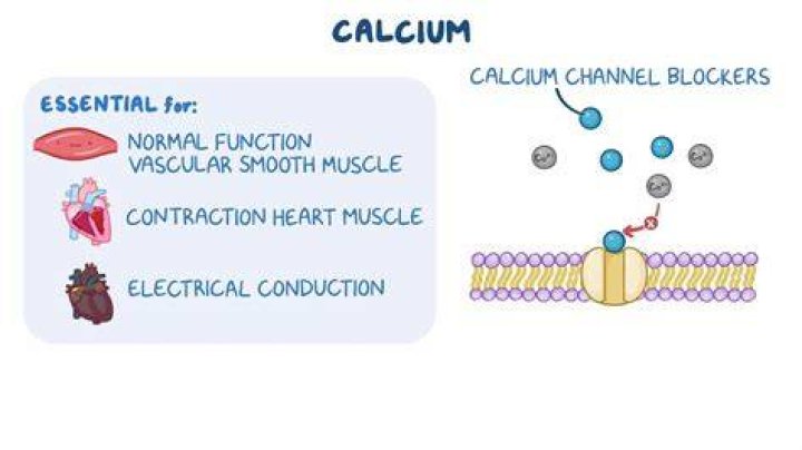 Does calcium affect urine pH