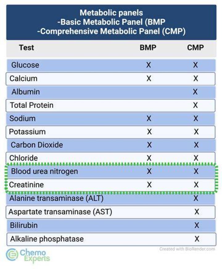 Does CMP include cholesterol