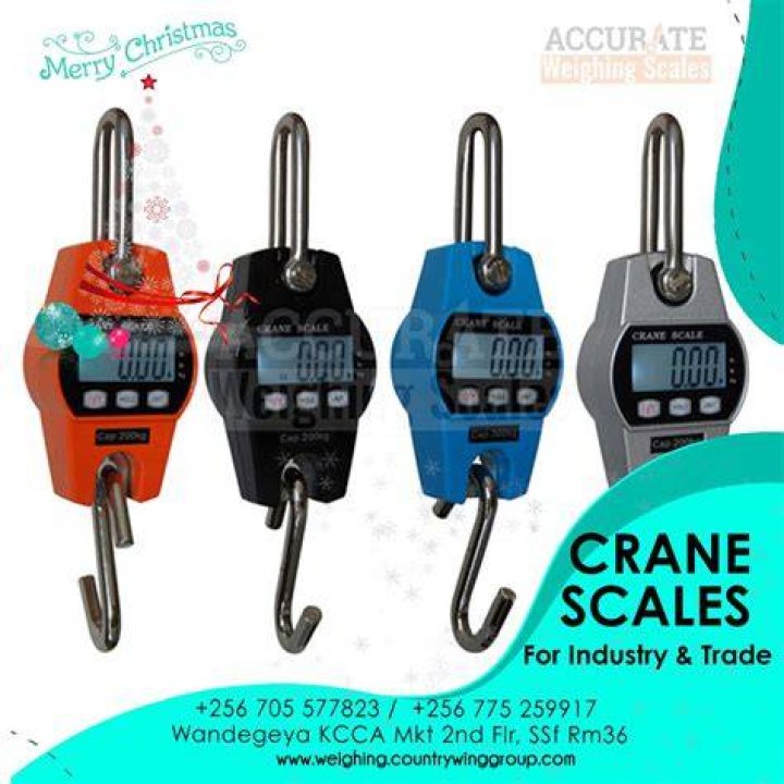 Does CVS have digital scales