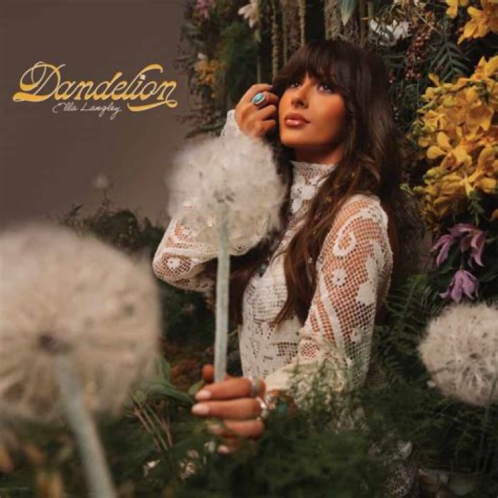 Does dandelion make you pee
