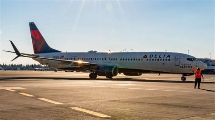 Does Delta fly within Canada