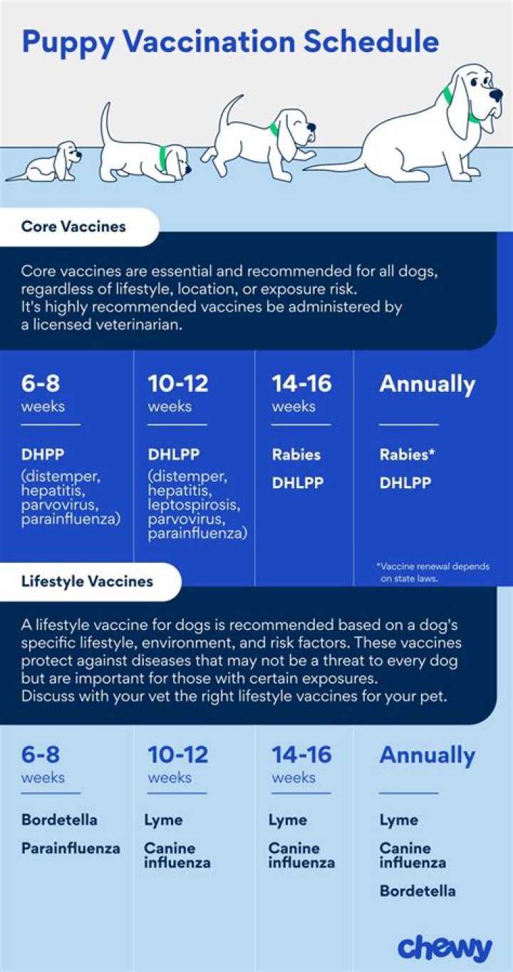 Does Dhpp include Bordetella