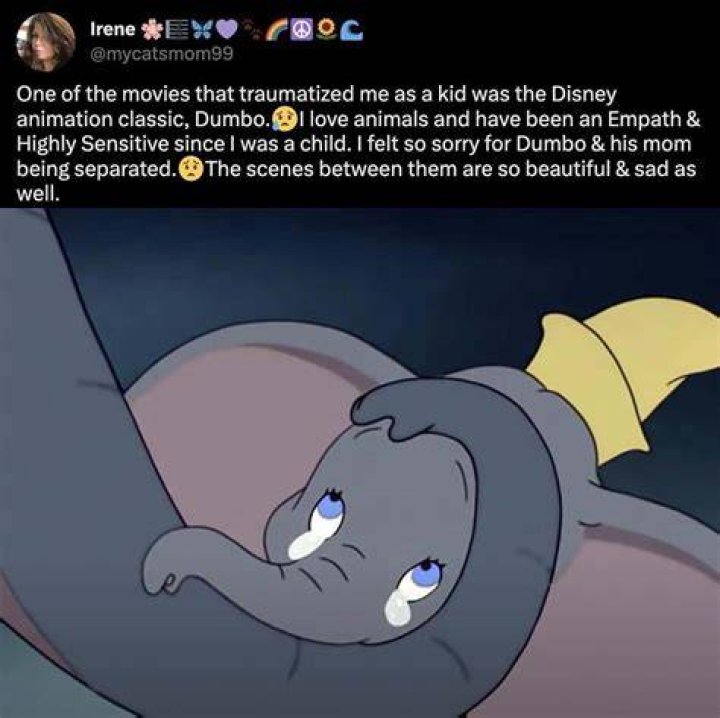Does Dumbo see his mom again