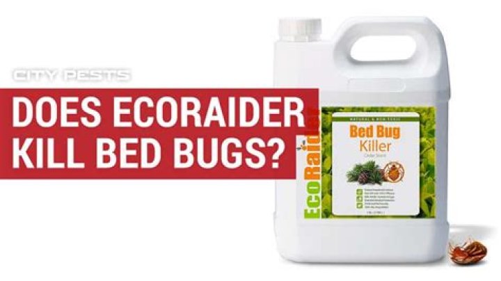 Does EcoRaider kill bed bugs