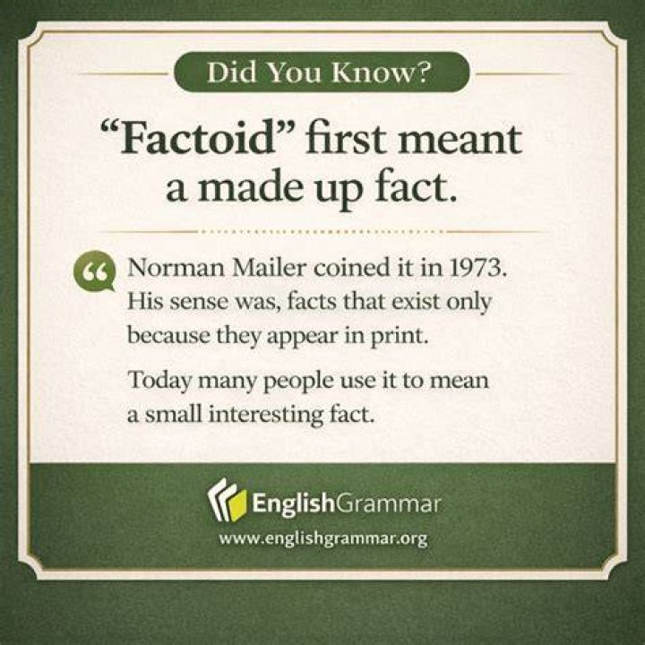Does factoid mean false fact