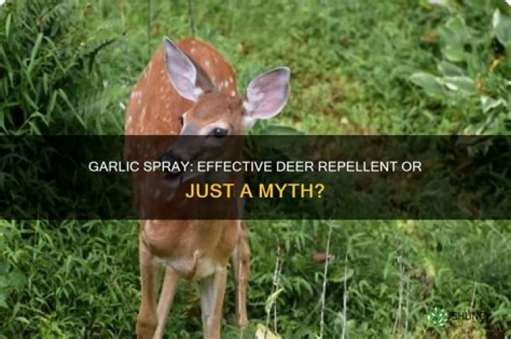 Does garlic spray repel deer