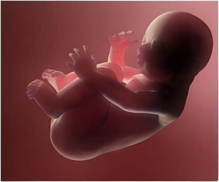 Does labetalol affect fetus