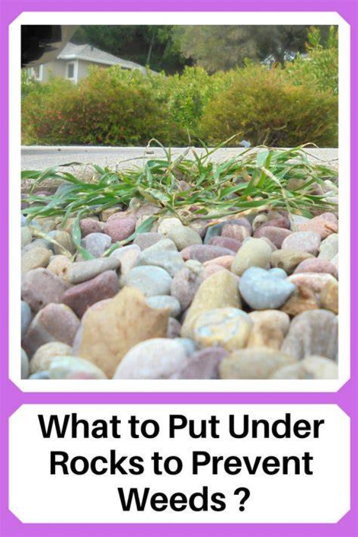 Does lava rock prevent weeds