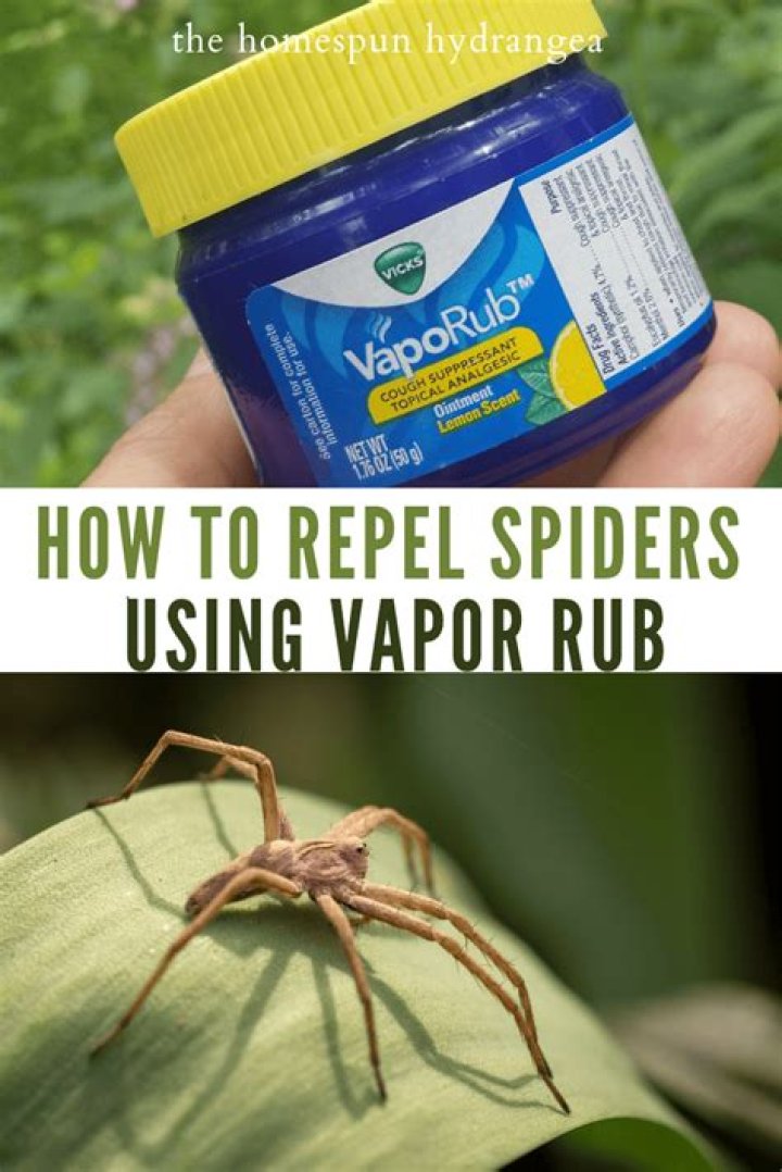 Does lemon oil repel spiders