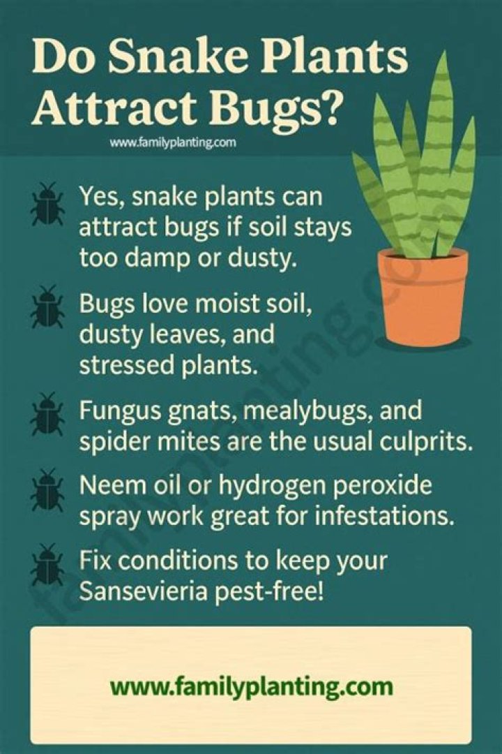 Does mandevilla attract bugs