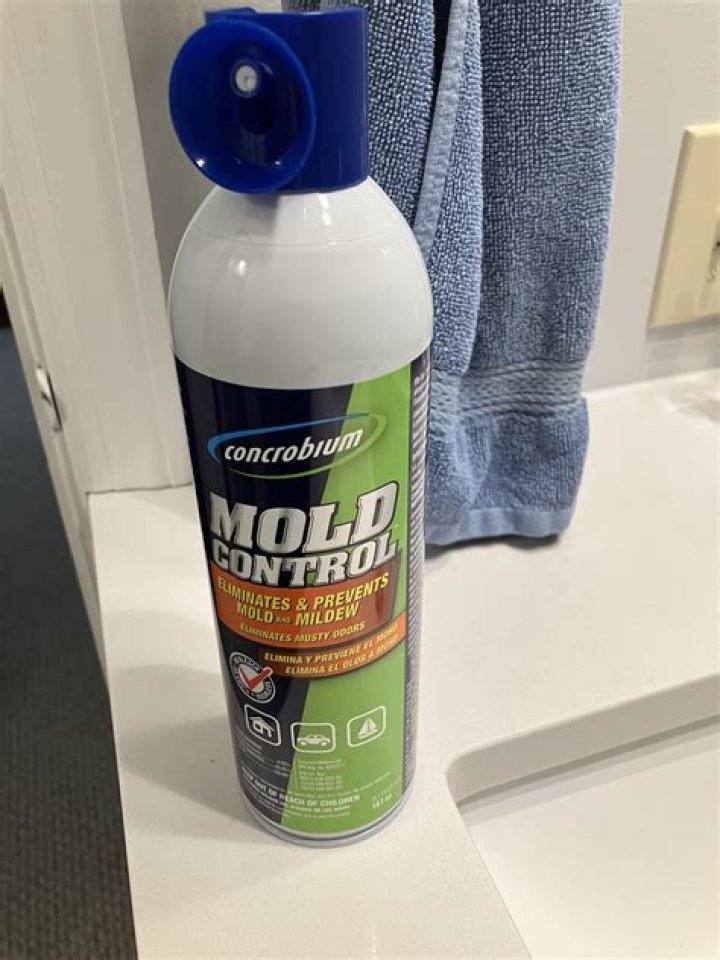 Does Mold Control Spray work