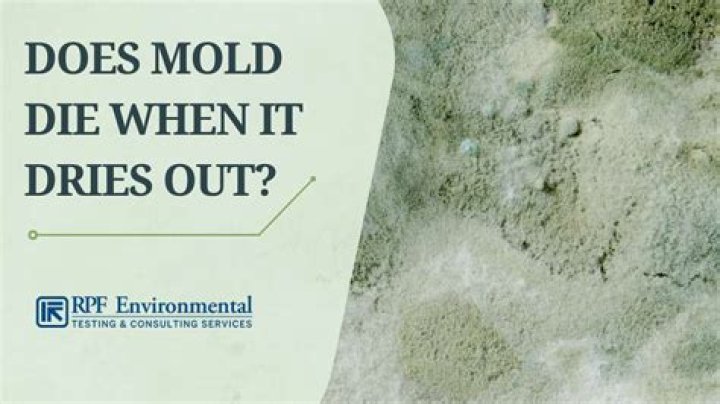Does mold die without water