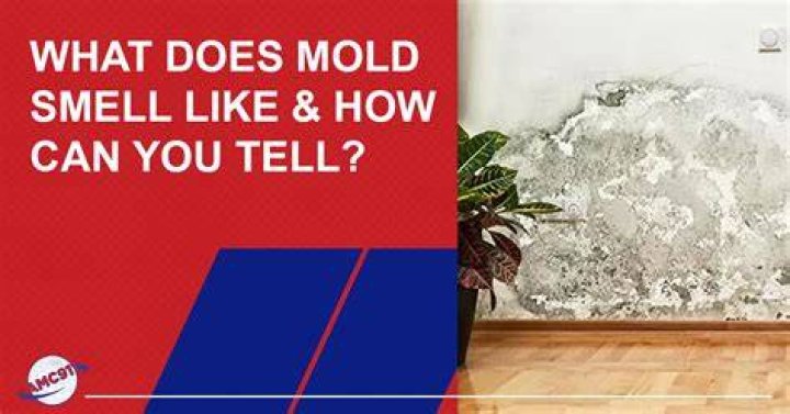 Does mold in bathroom smell