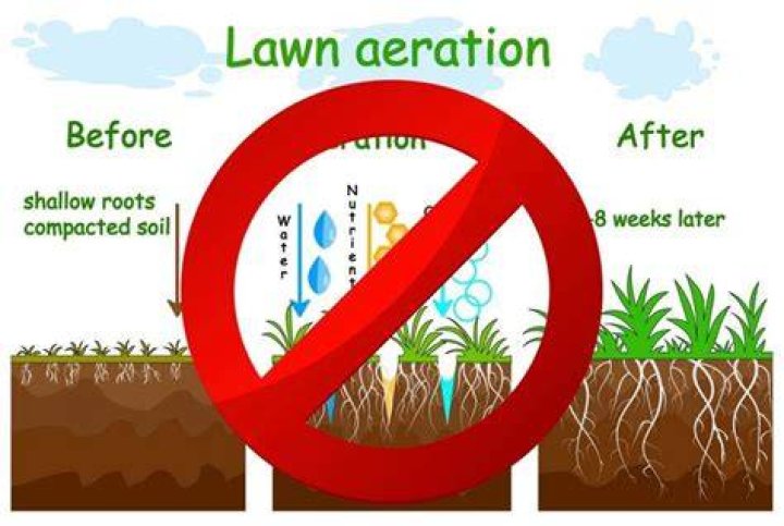 Does my lawn need phosphate