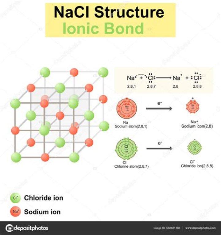 Does NaCl move into the sac