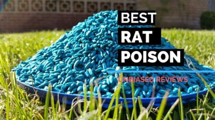 Does rat poison have a color