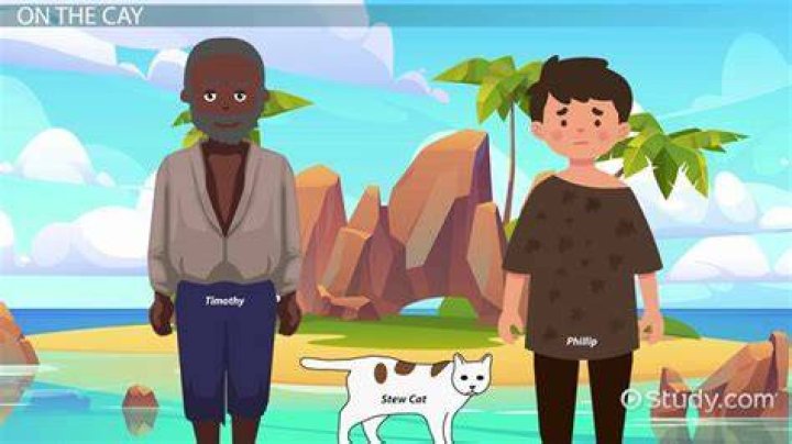 Does Stew cat die in the Cay