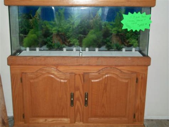 Does Tanked still make tanks