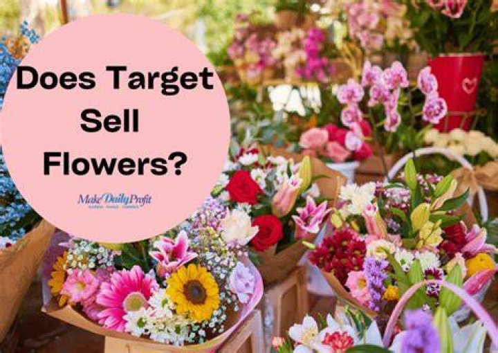 Does Target sell real plants