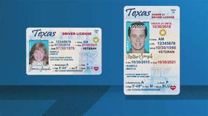 Does Texas have a militia