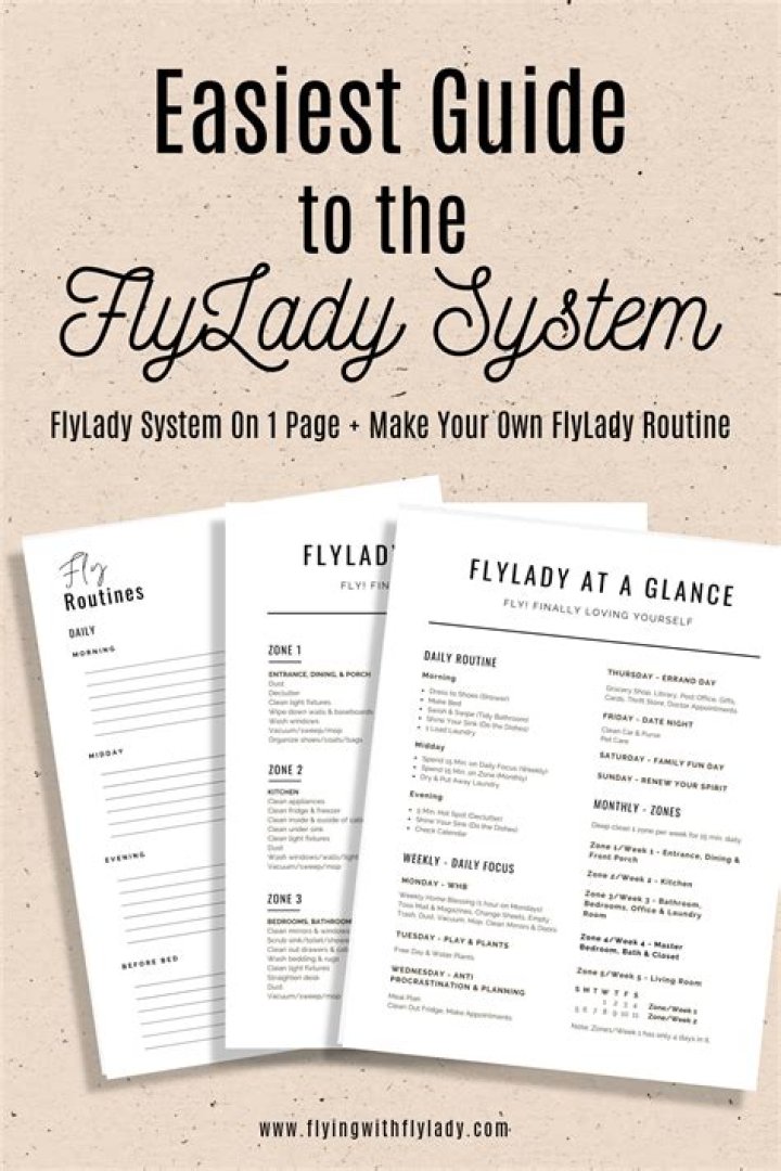 Does the FlyLady system work