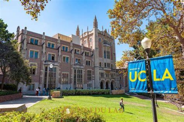 Does UCLA look at AP classes