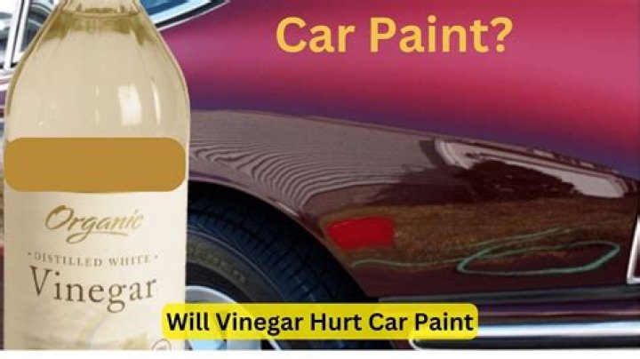 Does vinegar hurt car paint
