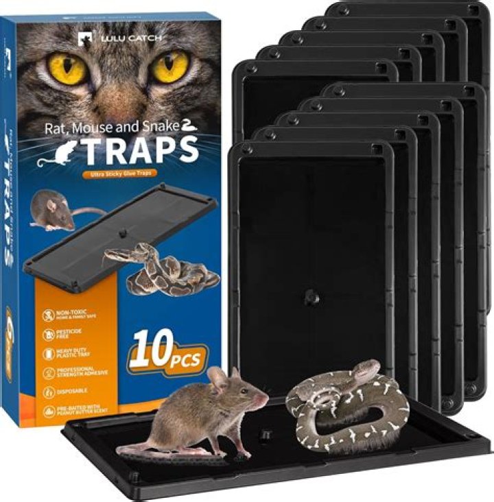 Does Walmart sell mice traps