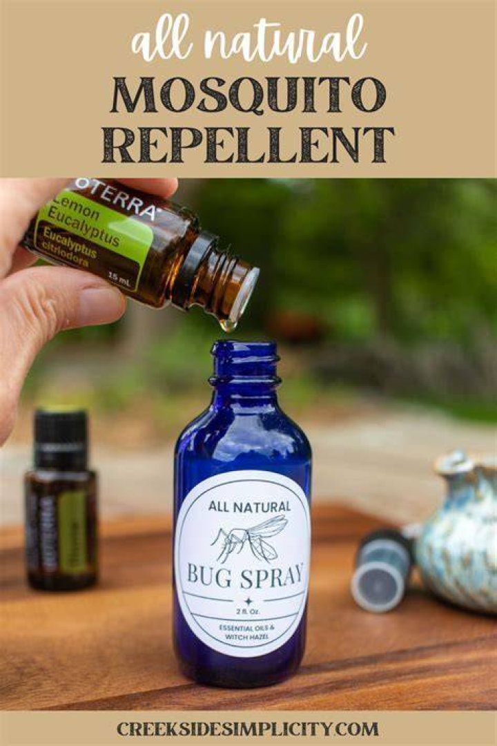 Does witch hazel repel bugs