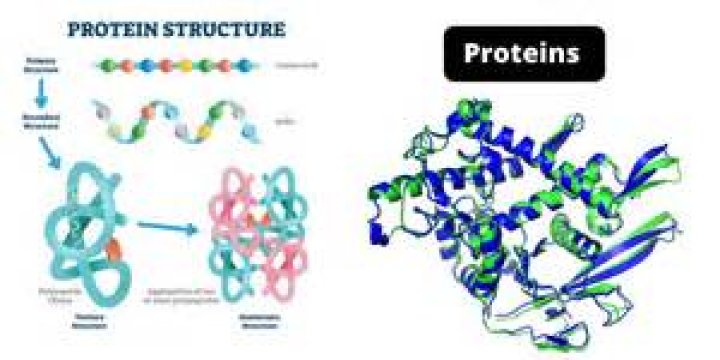 How are G proteins activated