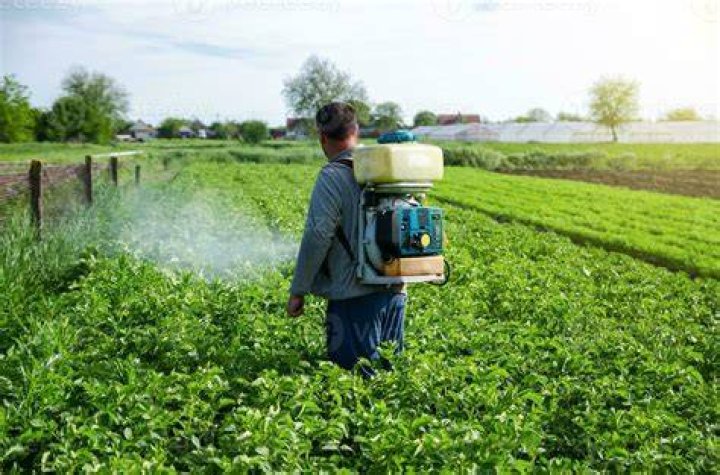 How are insecticides applied