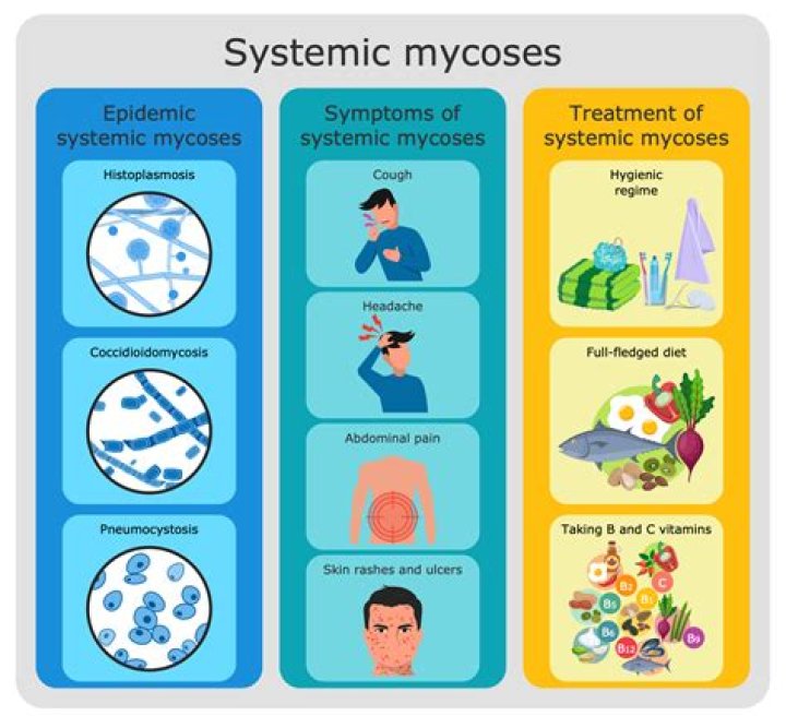 How are mycoses transmitted