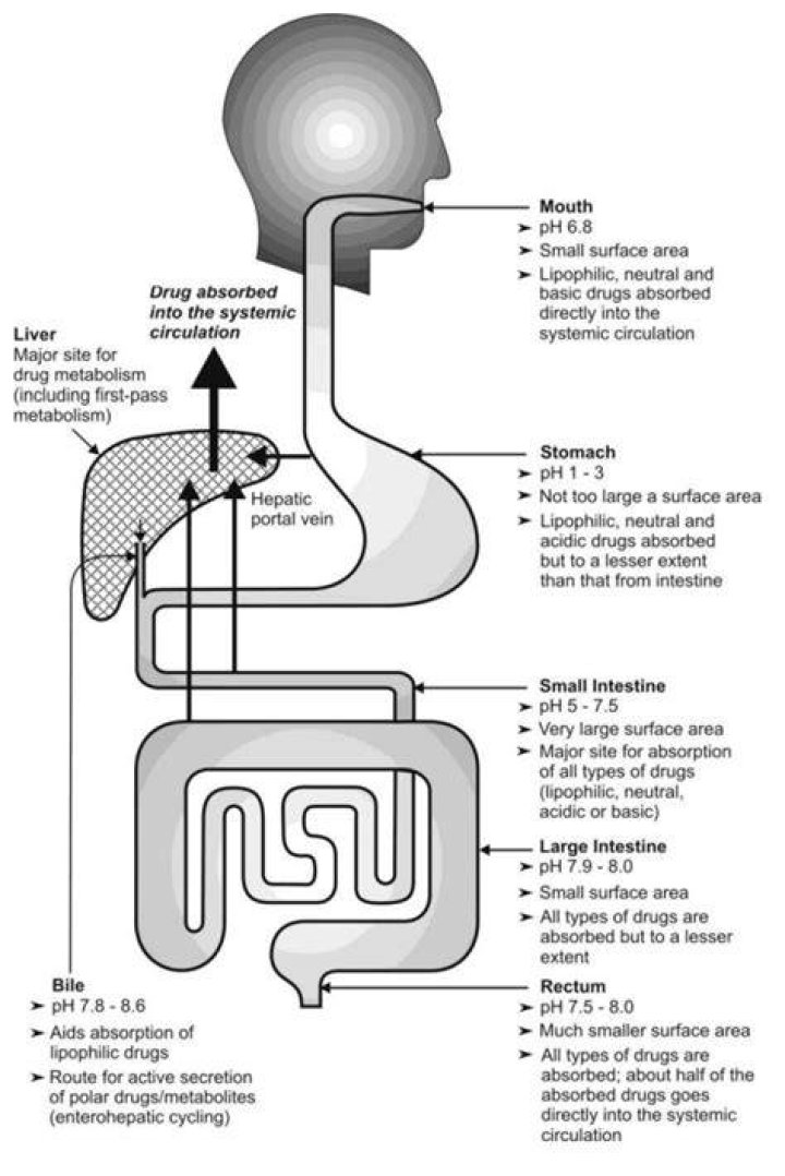 How are ODT tablets absorbed